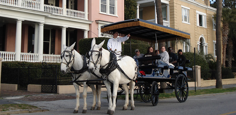 Charleston Carriage Tour